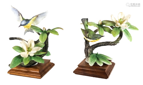 Pair Porcelain Parula Warblers by D. Doughty