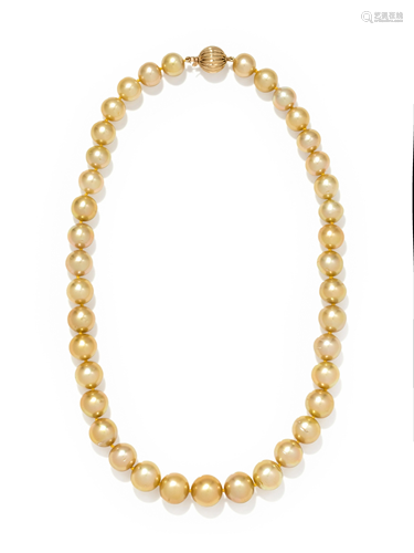 CULTURED GOLDEN SOUTH SEA PEARL NECKLACE