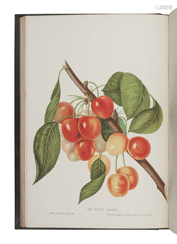 HOVEY, Charles Mason (1810-1887). The Fruits of