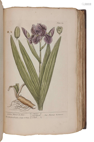BLACKWELL, Elizabeth (d.1758). A Curious Herbal,