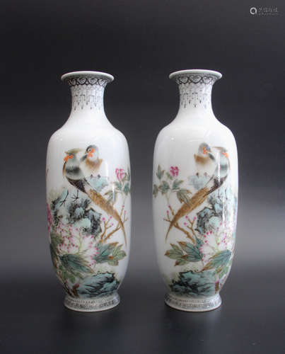 A Chinese Famille Rose Porcelain Vase