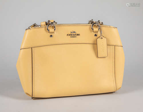 Coach Mini Brook Carryall