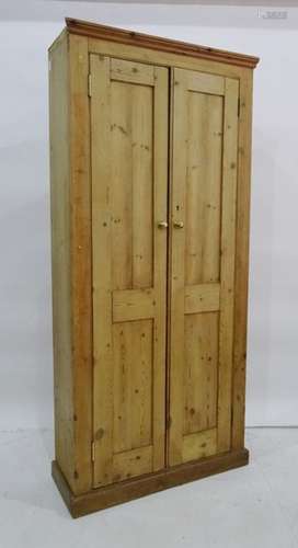 Late 19th/early 20th century pine cupboard, the two panelled doors opening to reveal shelves, raised