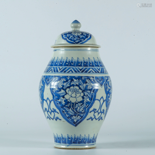 Qing Dynasty blue and white flower pattern lotus seed