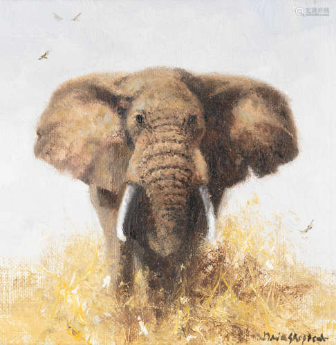 David Shepherd C.B.E. (British, 1931-2017) Elephant
