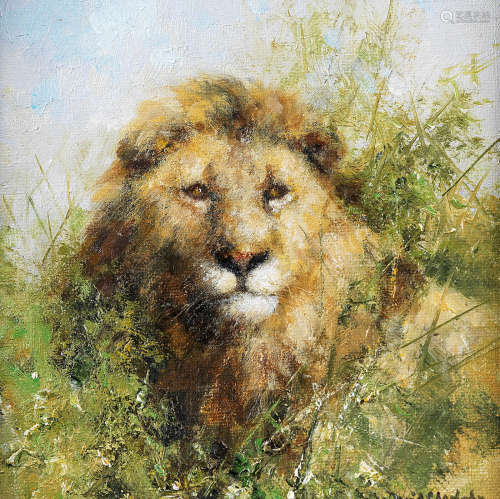 David Shepherd C.B.E. (British, 1931-2017) Lion