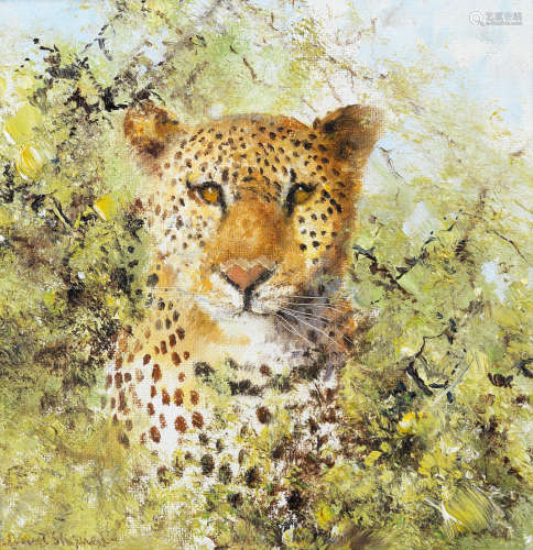 David Shepherd C.B.E. (British, 1931-2017) Cheetah