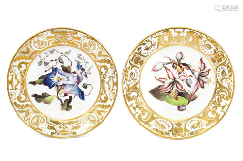 A pair of Derby botanical plates by William 'Quaker' Pegg, circa 1813-15