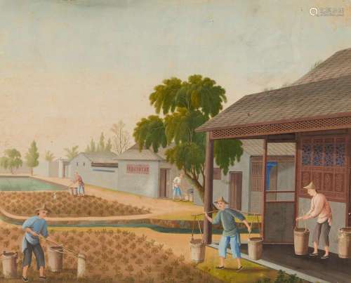 GUANGZHOU School, Tea Cultivation Circa 1810