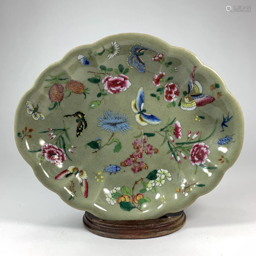 A Beautiful Chinese Porcelain Butterfly Painted Plate