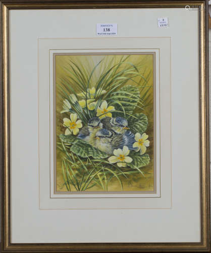 Warwick Higgs - 'Cheer Up, Young Blue Tits and Primroses', watercolour and gouache, signed and dated