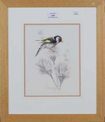 Warwick Higgs - Study of a Goldfinch on the Down of a Thistle, watercolour, gouache and pencil,