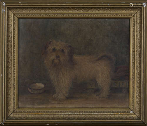 British School - Study of a Terrier beside its 'Doggie' Bowl, late 19th century oil on canvas, 19.