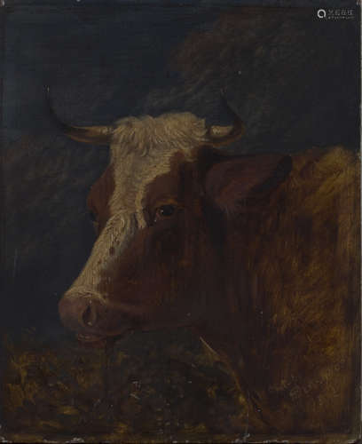 Herbert C. Devignes - Sketch of a Cow's Head, oil on panel, signed, inscribed and dated 1852, 22.5cm