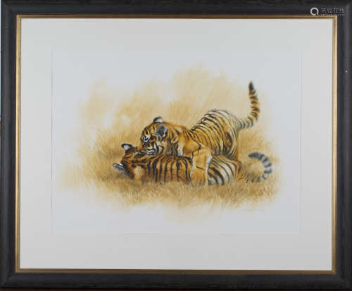 Matthew Hillier - Two Tigers at Play, late 20th century watercolour, pastel and pencil, signed in