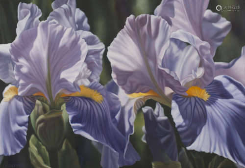 Winifred M. Godfrey - Study of Iris, late 20th century oil on canvas, signed, 76.5cm x 112cm.Buyer’s