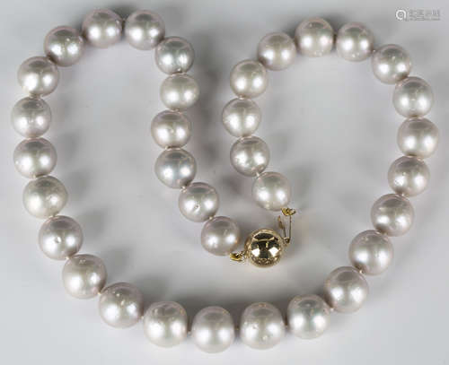 A single row necklace of graduated pale grey tinted freshwater cultured pearls on a gold snap clasp,