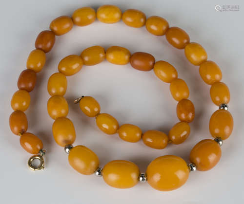 A single row necklace of graduated oval vari-coloured opaque butterscotch coloured amber beads on