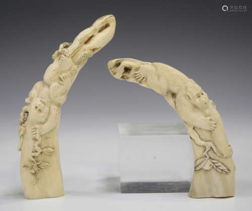 Two Japanese carved warthog tusk okimonos, Meiji period, each carved in relief with monkeys, lengths