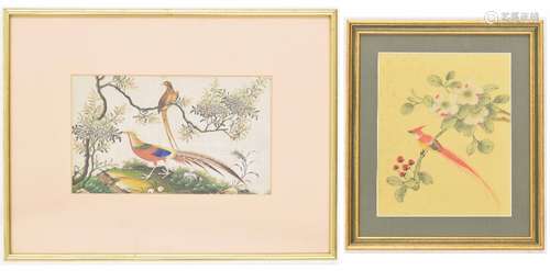 Chinese School - 19th century watercolour on rice paper, depicting a bird by a tree in a rocky