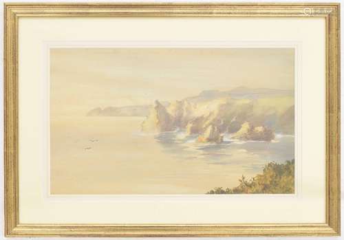 H* G* White, 19th century School British - West country rocky coastal scene, possibly Bedruthan