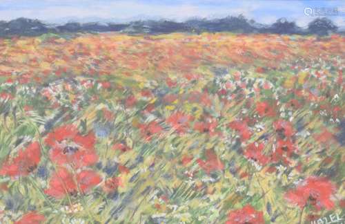 Hazel Russell (20th century contemporary) - Poppy field, signed, pastel, 7.5