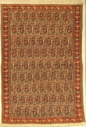 Fine Senneh Rug,