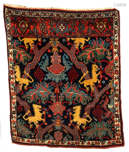 Bidjar Oriental Rug Sampler