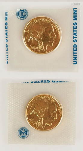 (2) US American Buffalo 2013 One Ounce Gold Coins