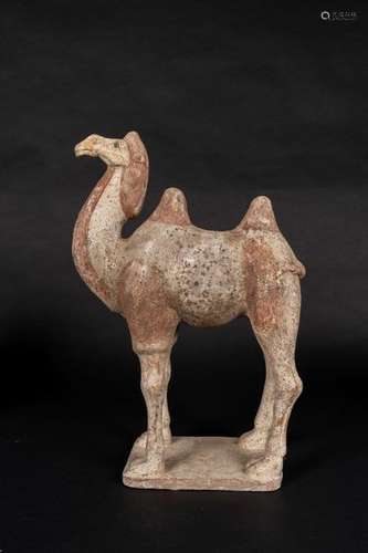 Chinese Art. An earthenware Bactrian camel China, …