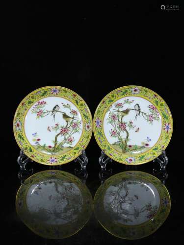 Pair Of Chinese Porcelain Enameled Plates Of Bird&Floral Painting