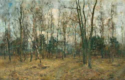 Rudolf Höckner(Wolkenstein 1864 - Bad Mergentheim 1942)Wald (Vorfrühling)Öl/Lw., 45,5 x 71 cm, r. u.