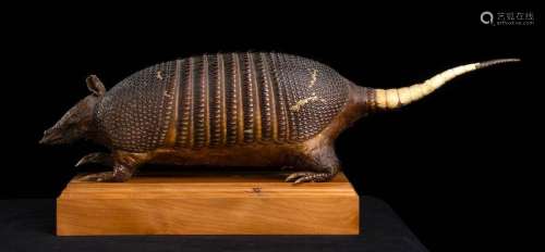 ARMADILLO \n \nNeutralized sample of an Armadillo (C…