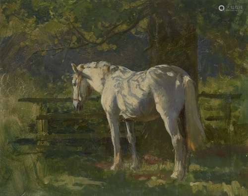 Follower of Sir Alfred James Munnings, KCVO PRA RI, British 1878-1959- White horse in shade; oil