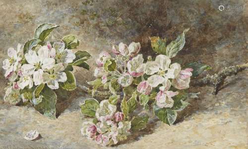 Helen Cordelia Angell Colman, British 1847-1884- Flowers on a bank; watercolour, signed, 18.5x30cm