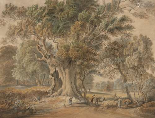 Circle of Paul Sandby RA, British 1731-1809- Ancient Beech Tree, Windsor Great Park; pencil,