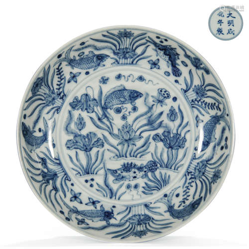 Daming-Chenghua-Nianzhi Mark Blue And White Fish Pattern Plate