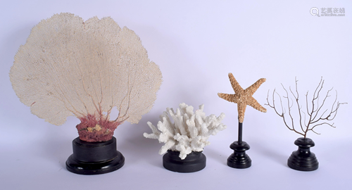 FOUR EARLY 20TH CENTURY C & STARFISH TAXID…