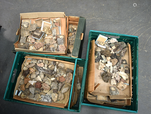 THREE BOXES OF FOSSILS AND SPECIMENS (qty)