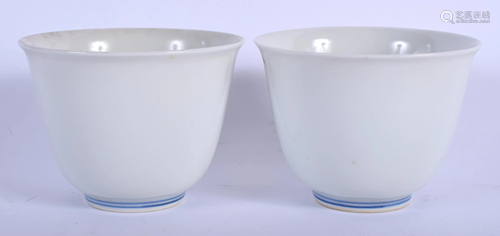 A PAIR OF CHINESE BLUE AND WHITE PORCELAI…