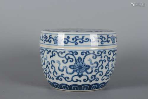 A Chinese Porcelain Jar With Plant Pattern