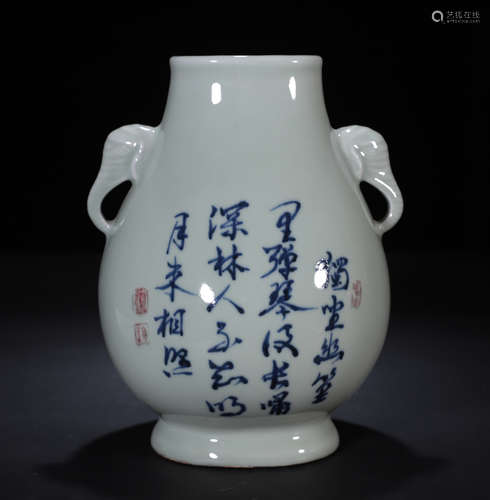 Qing dynasty blue and white bottle