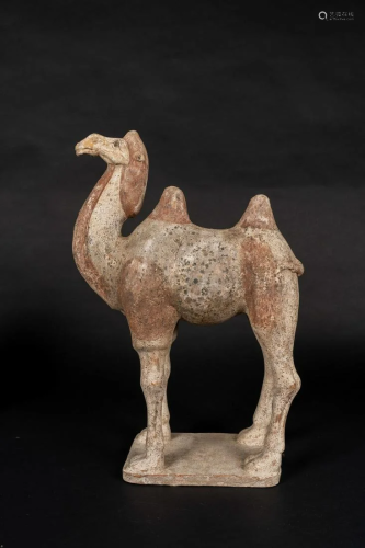 Arte Cinese An earthenware Bactrian camel …