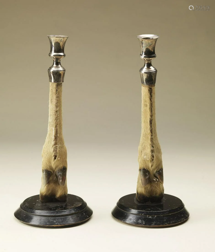 Naturalia Pair of candlesticksEngland, late 19th