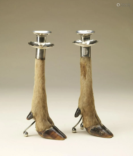 Naturalia A pair of candlesticksEngland, late 19th