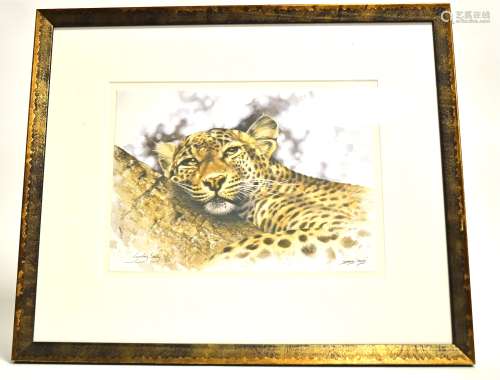 Lyndsey Selley (British Contemporary) 'Daydreamer', a limited edition print of a leopard, no.42/395,