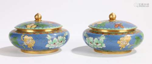 Pair of Chinese cloisonné pots and covers, with a blue ground and flower head design, butterflies