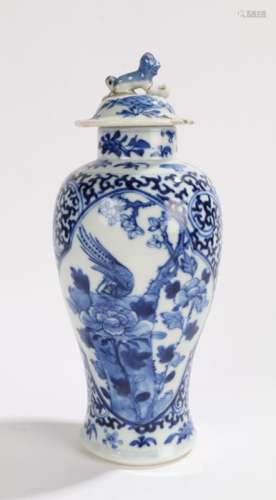 Chinese porcelain vase and cover, Qing Dynasty, decorated with a scrolling background and panels