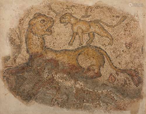 A late Roman marble mosaic of a lion, circa 4th-5th century AD, the multi-coloured composition on