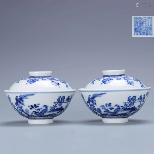 A Pair of Chinese Blue and White Flower&Bird Pattern